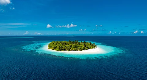 Ocean protection needs $15.8 billion funding annually, but is receiving only $1.2 billion: Report