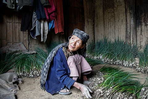 India’s seed saviours: Nagaland’s Chizami seed bank preserves 156 traditional varieties to build a climate- resilient future