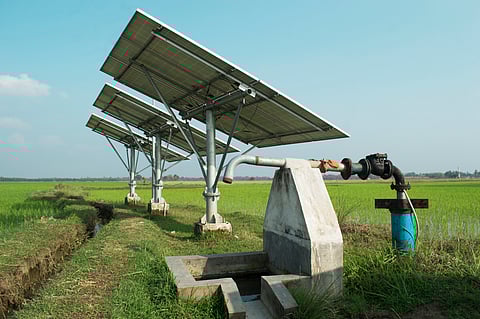 A solar push through feeder-level innovation is much needed to decarbonise agriculture