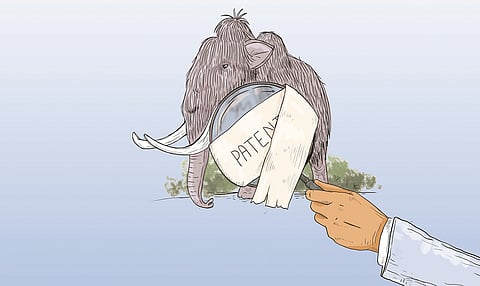 The mammoth in the patent system