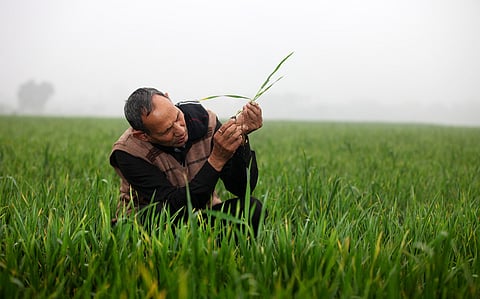 Participatory videos can be a tool to revolutionise farmer-led extension in natural farming