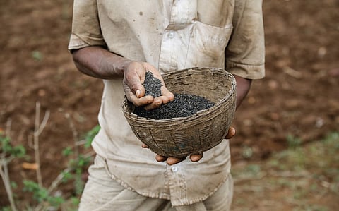 A community seed bank is a tool to make farmers and farmer–led organisations stronger and self–reliant