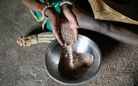 ‘Beej swaraj’ must be India’s key motto