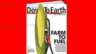 Highlights from the issue