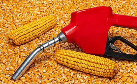 Biofuels can support India’s green transition. But using food crops or subsidies for fuel creates difficult trade-offs