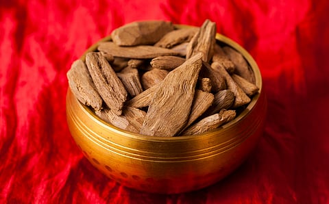 Agarwood is a cultural, ecological and economic asset for India