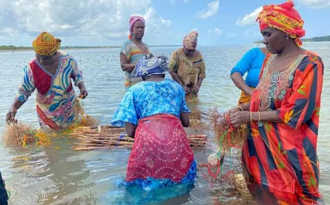 Bottom-up Blue: Communities are quietly reshaping their relationship with the sea along the East African coast