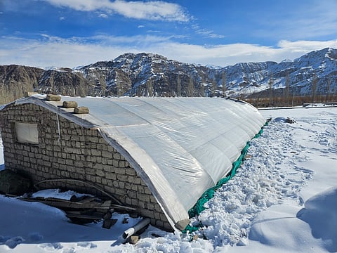 Traditional Ladakhi greenhouse in winter at ICAR-Central Arid Zone Research Institute, Leh