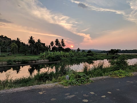 Shivanasamudram fish sanctuary.