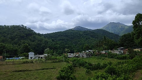 Moolagangal is a hamlet on the south-eastern edge of Attappady in Kerala’s Palakkad district.