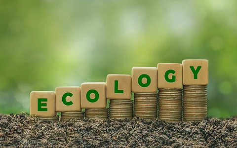 IBAT Alliance, formed by four largest global conservation organisations, doubled its investment in biodiversity data from 2023 to 2024