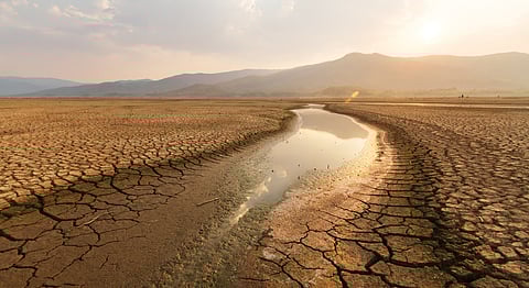 Drought costs rising 3-7.5% annually: OECD Report