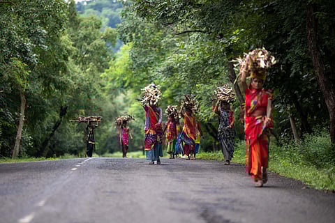 A 2009 submission by the MoEFCC to the FAO stated that rights to protect approximately 40 million hectares of community forest resources had been assigned to village-level democratic institutions.