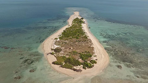 Kariyachalli Island is home to one of the four major coral reefs in India.