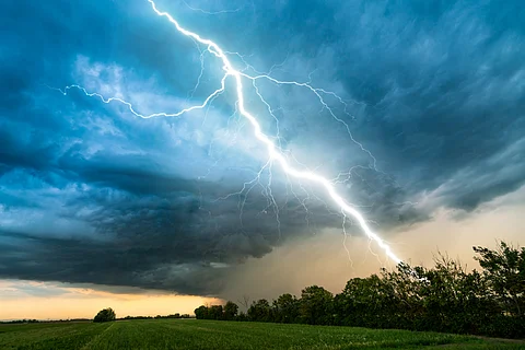‘Overlooked’ thunderstorms kill billions of tropical trees each year, study finds