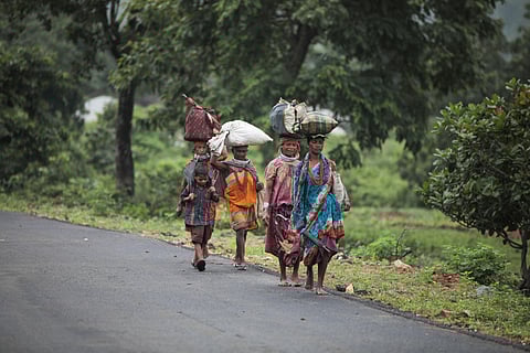 Gram Sabhas hold supreme authority under FRA — forest departments must facilitate, not regulate, CFR governance