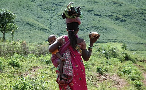 Odisha’s new scheme aims to revive forgotten and neglected crops