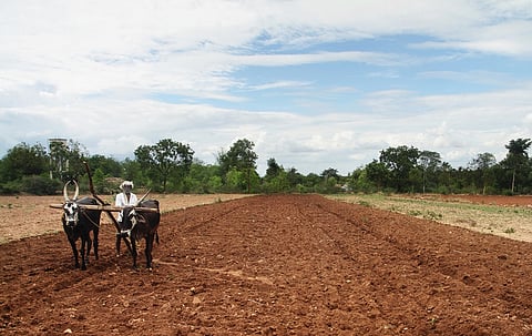 Seed of resistance: How India’s farmers are blocking a GMO-powered trade deal?