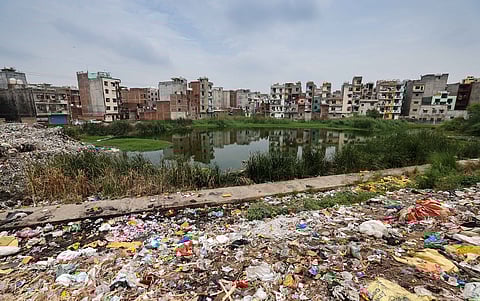 Ahead of Ramsar COP15, Delhi’s Jharoda wetland cries for attention