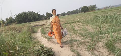 Tharus in Bihar and the voter roll crisis: Does the Special Intensive Revision (SIR) drive amplify the vulnerability of these forest dwellers?