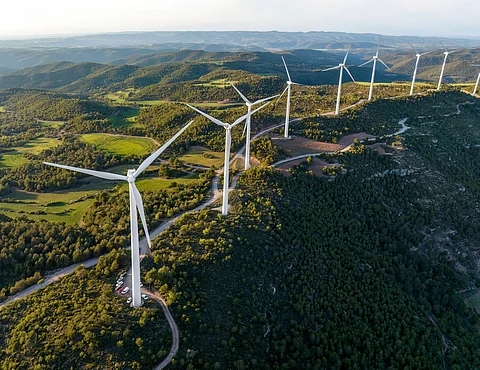Netherlands slashes offshore wind targets: 2040 goal cut from 50 GW to 40 GW