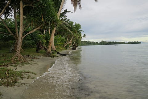 As seas rise and fish decline, this Fijian village is finding new ways to adapt