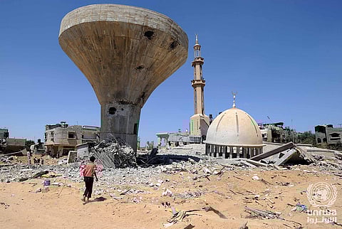 Gaza’s unseen war: Where conflict meets environmental collapse