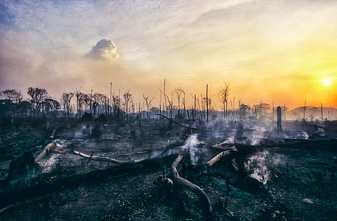 Deforestation fire in the Amazon