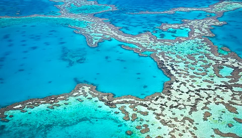 Aerial view of the Great Barrier Reef.