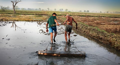 Fewer farms, older hands