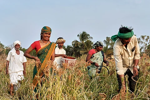 Bibifathima Swa Sahaya Sangha SHG is among ten global winners of Equator Prize for nature-based solutions.