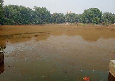 Red algal blooms are a biological red flag, a signal that our water bodies are in distress