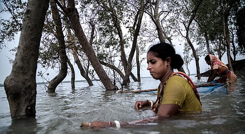 The Sundarbans: Rising waters, lost childhoods, and Bengal’s fight for survival