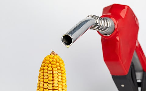 India’s ambitious push for 27% ethanol blending: A step toward energy security or a risky bet?