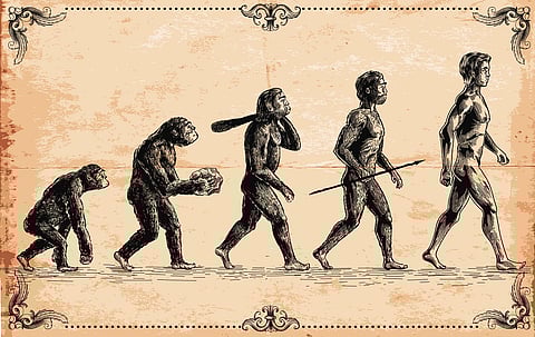 Are we beyond laws of evolution?