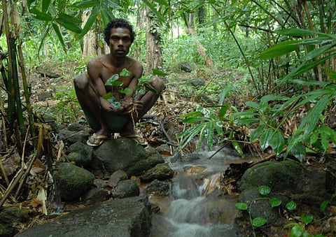 Kuttimathan Kani with the Arogyapacha plant 17 years ago.