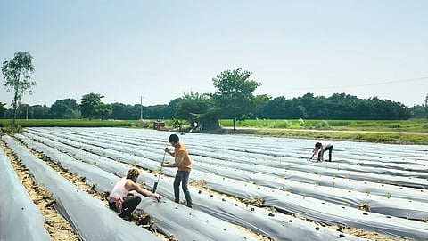 The series attempts to prove how agriculture can be made profitable with the right technologies and ideas