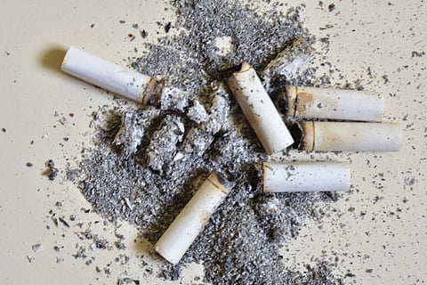 cigarette BUTTS WITH ASH