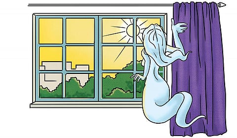 Gobar Times: Spirit of the home