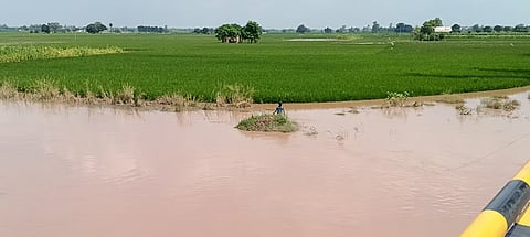 Punjab Floods 2025 Ground Report: Not the administration, people are helping each other in Patiala’s villages