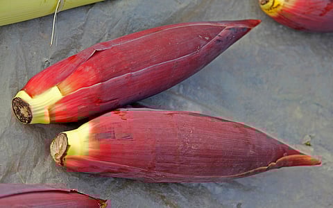 My Food Story: Presenting a signature Bengali dish