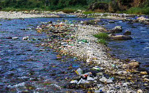 A Kosi outside Bihar, on death row