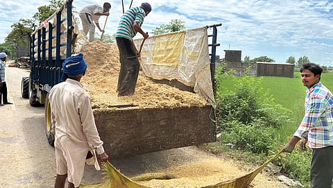 People in Sajada village of Amritsar unload cattle feed from a truck to distribute to farmers. With the August floods having washed away fodder crops, farmers sought supplies from other villages