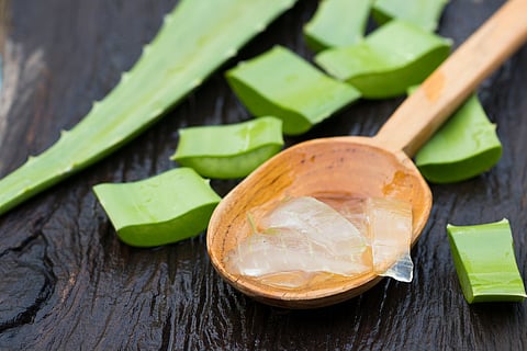 My Food Story: An Aloe Vera curry and memories of granny