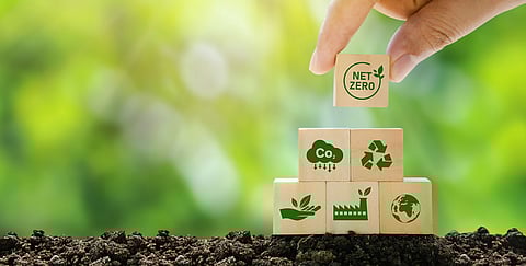 Publicly listed companies falling short on climate plans, set to overshoot 1.5°C budget: TPI Centre