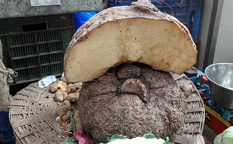 My Food Story: Kanda Attu is all about memory, tradition and the taste of home