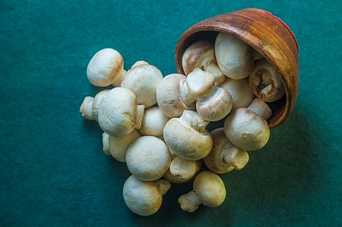 My Food Story: Bans Pihiri, the mushroom that grows inside dried bamboo, is medicinal food
