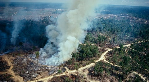 Anthropogenic activities caused fragmentation of nearly 80 per cent of tropical forests in the last two decades: Report