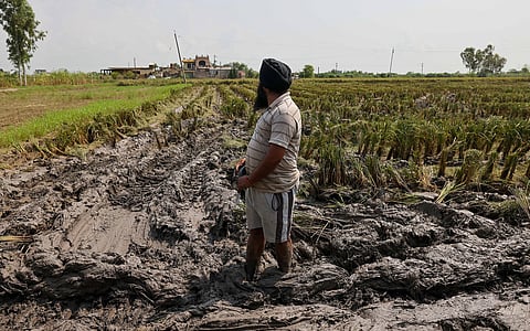 Deluge after despair: DTE tracks the post-flood reality of Punjab
