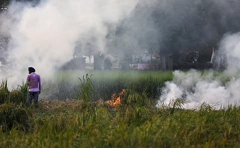 Paddy stubble fire season begins in Punjab